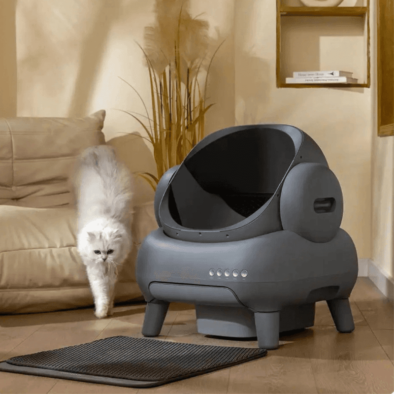 Arena para gatos inteligente - Hogar | Elvora